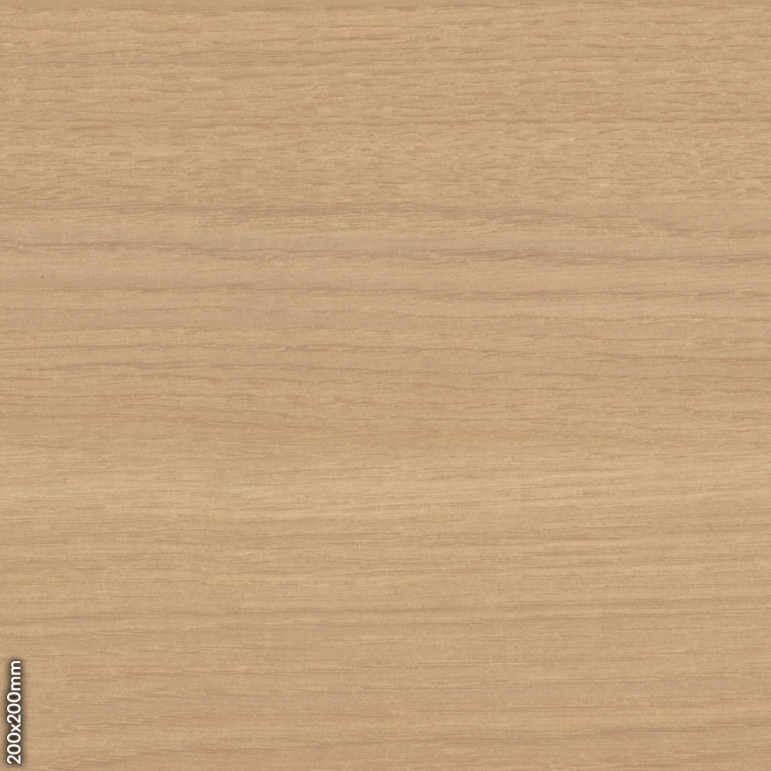 Blanched Oak